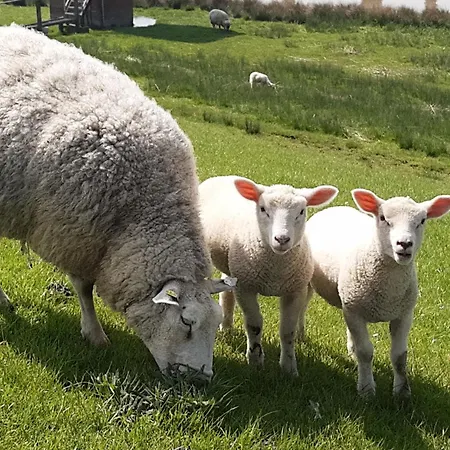 Fernkieker 45256 Апартаменты Дитцум