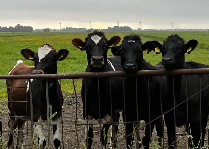 Fernkieker 45256 דירה